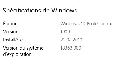 v. windows.jpg
