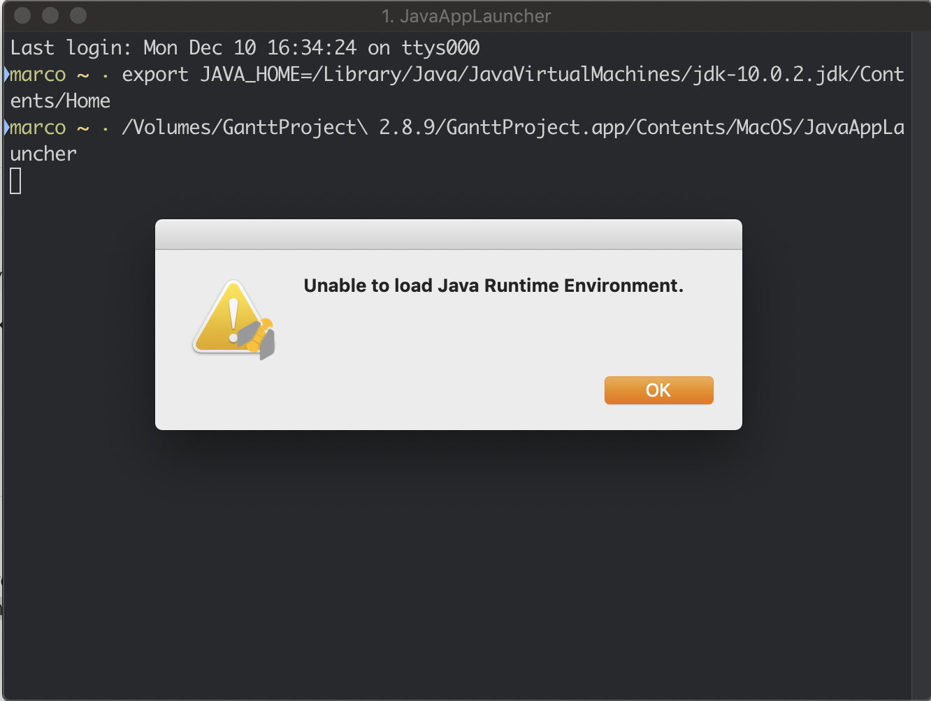 Java SE Runtime Environment 10
