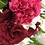 Fay_Swee