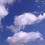 Martin_Schon-Chanish